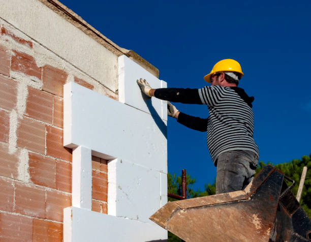 Best Specialized Insulation Services in South Whitley, IN