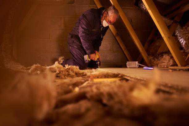 Best Residential Insulation in South Whitley, IN